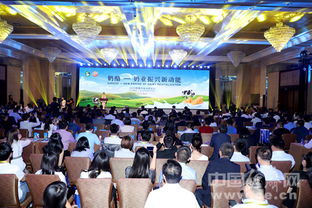 2019奶酪发展高峰论坛在京举办 开创奶业振兴新蓝图